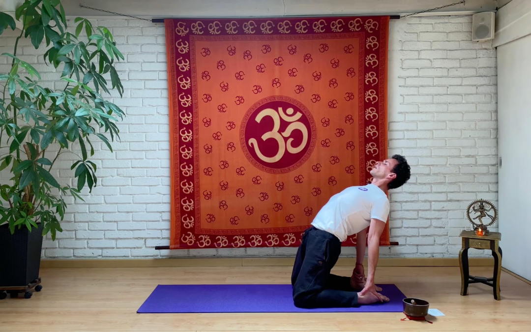 Estreno: Sistema Shakti Yoga – Desde Colombia